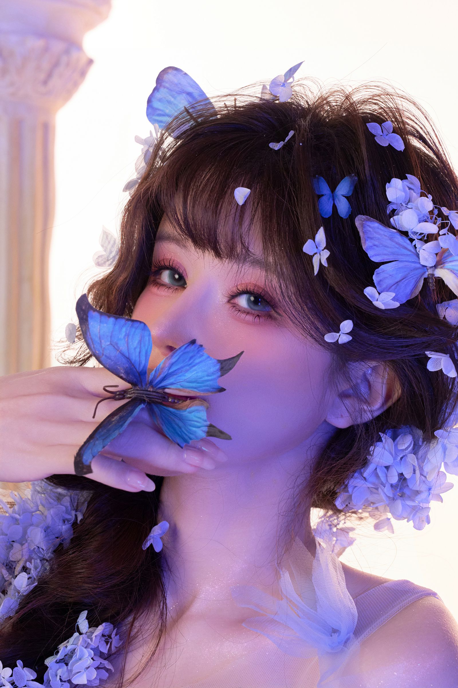 图片[1]-[鹿八岁] NO.125 蝶梦霓裳-电鸽