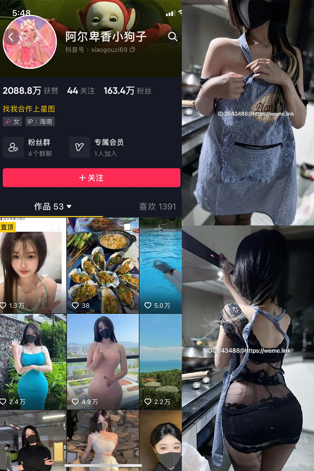 抖音 阿尔卑香小狗子 微密圈  NO.009期  37P 最新至 2023.6.16-芭站网